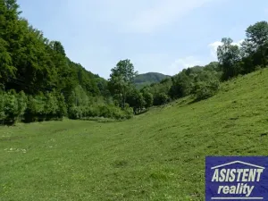 Prodej louky, Vernířovice, 75965 m2