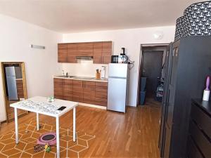 Pronájem bytu 1+kk, Litoměřice, Velká Dominikánská, 30 m2