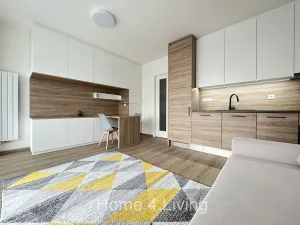 Pronájem bytu 1+kk, Brno, Trnitá, 38 m2