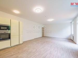 Pronájem bytu 3+kk, Cheb, Břehnická, 90 m2