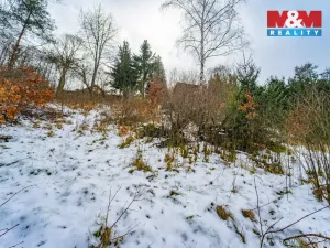 Prodej zahrady, Plasy, 2180 m2