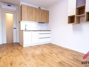 Pronájem bytu 1+kk, Praha - Žižkov, Šrámkové, 35 m2