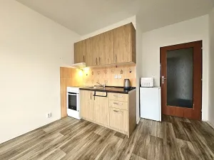 Pronájem bytu 1+kk, Brno, třída Generála Píky, 25 m2