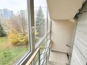 Pronájem bytu 3+kk, Plzeň, Studentská, 79 m2