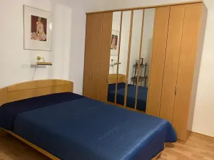 Pronájem bytu 2+kk, Praha - Vinohrady, Pod Zvonařkou, 54 m2