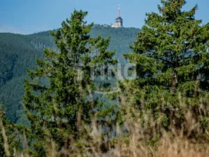 Prodej rodinného domu, Krásná, 150 m2