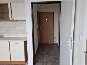 Pronájem bytu 1+1, Děčín - Děčín VI-Letná, 43 m2