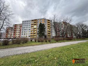 Prodej bytu 3+1, Karviná, Nedbalova, 79 m2