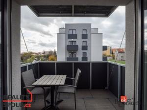 Pronájem bytu 1+kk, Heřmanova Huť - Vlkýš, U Pondu, 42 m2