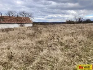Pronájem zahrady, Běhařovice - Ratišovice, 2716 m2