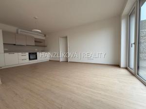 Pronájem bytu 2+kk, České Budějovice - České Budějovice 2, 53 m2