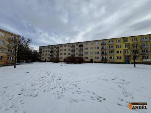 Prodej bytu 2+1, Havířov, Dělnická, 50 m2