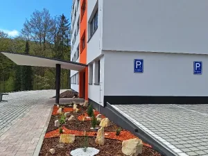 Prodej apartmánu, Tanvald, Horská, 2725 m2