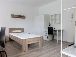 Pronájem bytu 1+kk, Brno, Václavská, 22 m2