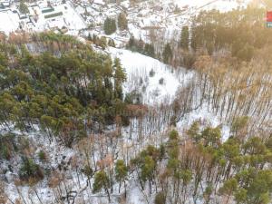 Prodej lesa, Mírová pod Kozákovem - Sekerkovy Loučky, 845 m2