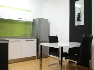 Pronájem bytu 1+kk, Brno, Bělohorská, 45 m2