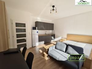 Pronájem bytu 1+kk, Plzeň, Radyňská, 31 m2