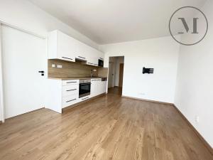 Prodej bytu 3+kk, České Budějovice, Větrná, 63 m2