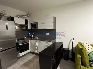 Pronájem bytu 2+kk, České Budějovice, U Lučního jezu, 50 m2