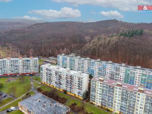 Prodej bytu 3+1, Litvínov - Janov, Luční, 78 m2