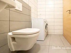Pronájem bytu 1+kk, Praha - Vysočany, Sousedíkova, 31 m2
