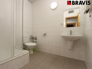 Pronájem bytu 2+kk, Brno - Zábrdovice, Příkop, 84 m2