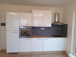 Pronájem bytu 1+kk, České Budějovice, O. Nedbala, 42 m2