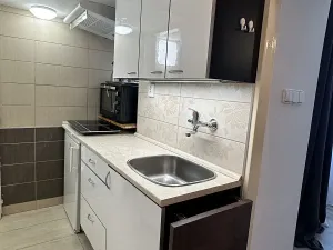 Pronájem bytu 1+kk, Praha - Střešovice, Na Hubálce, 25 m2