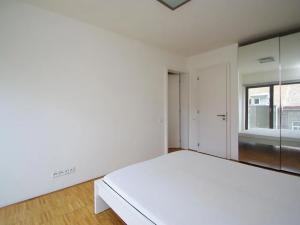 Pronájem bytu 2+kk, Praha - Žižkov, Prokopova, 56 m2