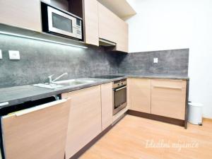 Pronájem bytu 1+kk, Brno - Husovice, Provazníkova, 55 m2