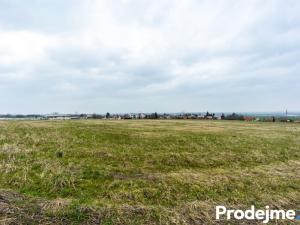 Prodej pozemku pro bydlení, Přišimasy, 1001 m2