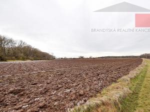 Prodej pole, Přerov nad Labem, 10200 m2