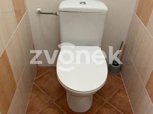 Pronájem bytu 1+kk, Zlín, Javorová, 28 m2