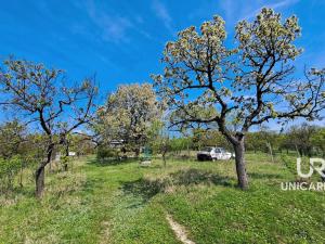 Prodej chaty, Židlochovice, 40 m2