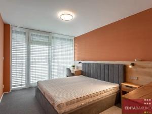 Pronájem bytu 2+kk, Olomouc, 17. listopadu, 60 m2