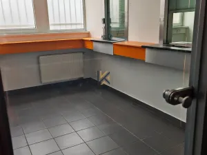 Pronájem obchodního prostoru, Praha - Braník, Zelený pruh, 818 m2