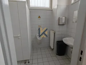 Pronájem obchodního prostoru, Praha - Braník, Zelený pruh, 818 m2