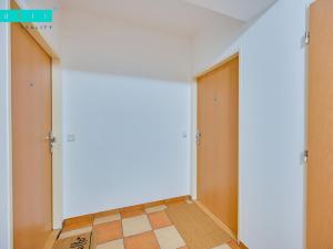 Pronájem bytu 2+kk, Olomouc - Nové Sady, Družební, 63 m2