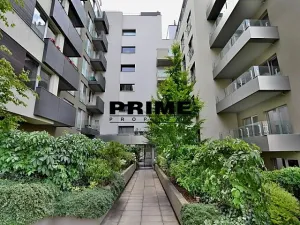 Pronájem bytu 2+kk, Praha - Žižkov, Prokopova, 56 m2