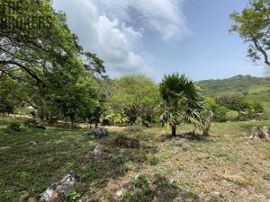 Prodej pozemku, Jonesville, José Santos Guardiola, Honduras, 1594 m2