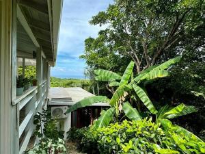 Prodej rodinného domu, Roatan, José Santos Guardiola, Honduras, 971 m2