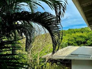 Prodej rodinného domu, Roatan, José Santos Guardiola, Honduras, 971 m2