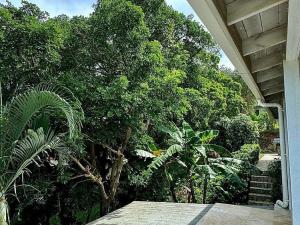 Prodej rodinného domu, Roatan, José Santos Guardiola, Honduras, 971 m2