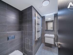 Pronájem bytu 2+kk, Praha - Holešovice, Jankovcova, 45 m2