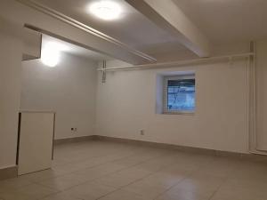 Pronájem bytu 1+kk, Hradec Králové, Smetanovo nábřeží, 25 m2