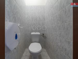 Pronájem obchodního prostoru, Újezd, 360 m2