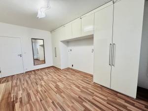 Pronájem bytu 2+kk, Brno, Slatinská, 53 m2