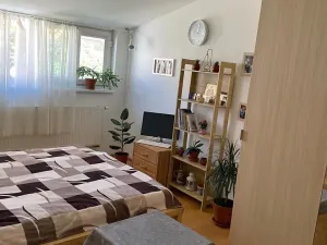 Pronájem bytu 2+kk, Praha - Žižkov, Seifertova, 60 m2