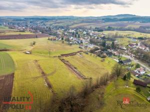 Prodej pozemku pro bydlení, Horní Branná, 1257 m2