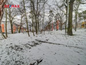 Pronájem bytu 2+kk, Milovice, Braniborská, 32 m2